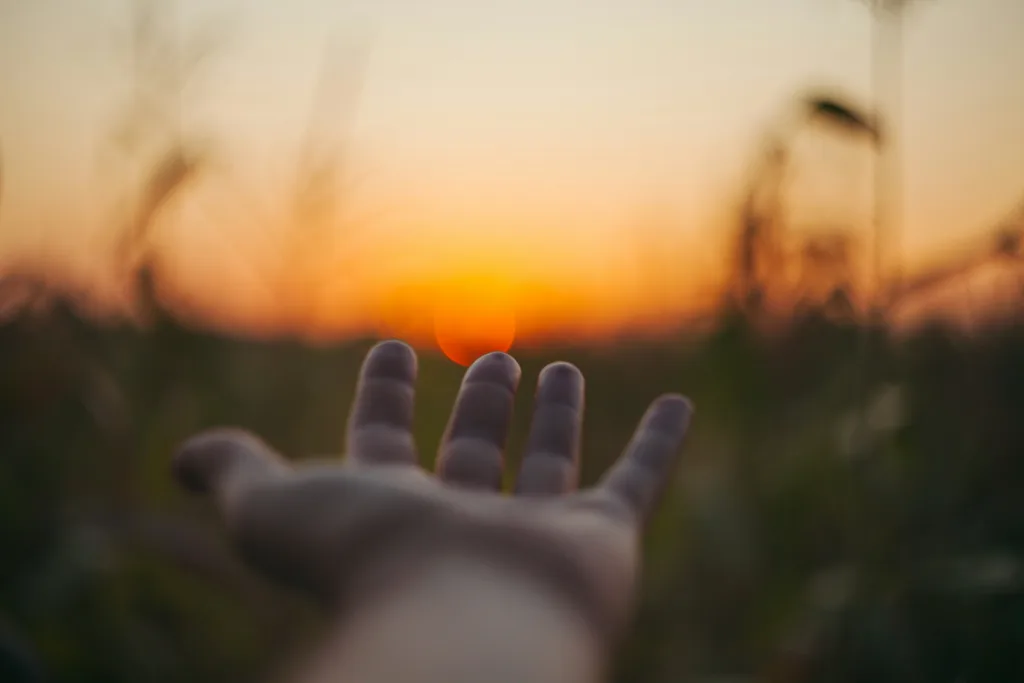 Left hand held out to a sunset