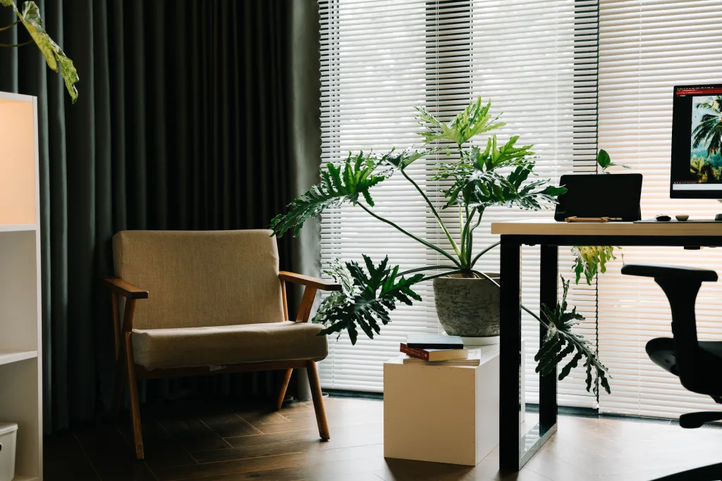 Open chair next to plant and desk